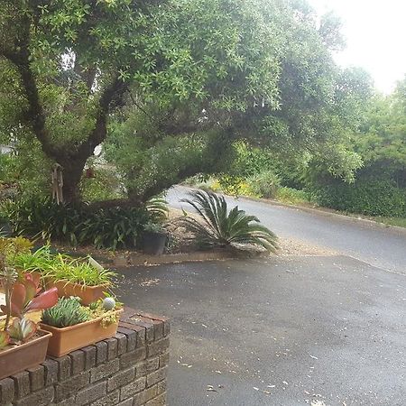 Pelikaan 9 Apartman Stellenbosch Kültér fotó